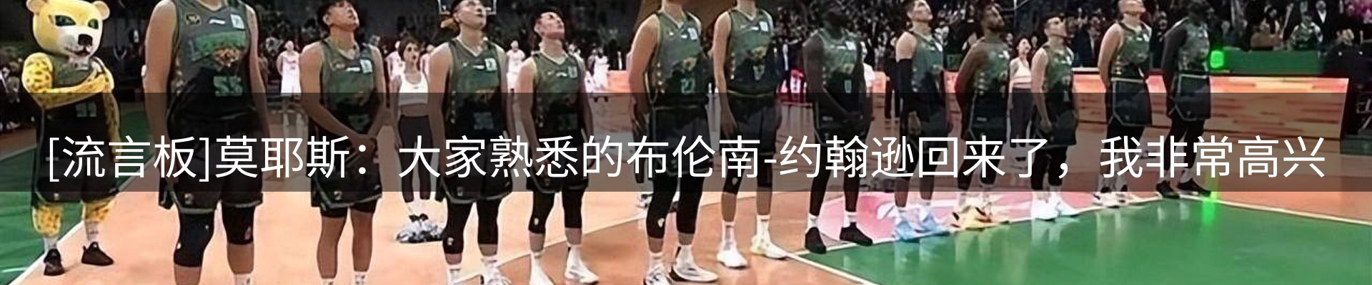 今日动态